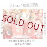 プレミアム福袋2025/ 10個限り/個数限定品♪♪♪🎁🎁🎁🎁🎁(^_-)-☆